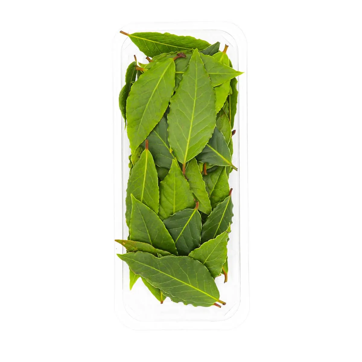 Bay Leaves