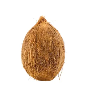 Dry Coconut 1 Each