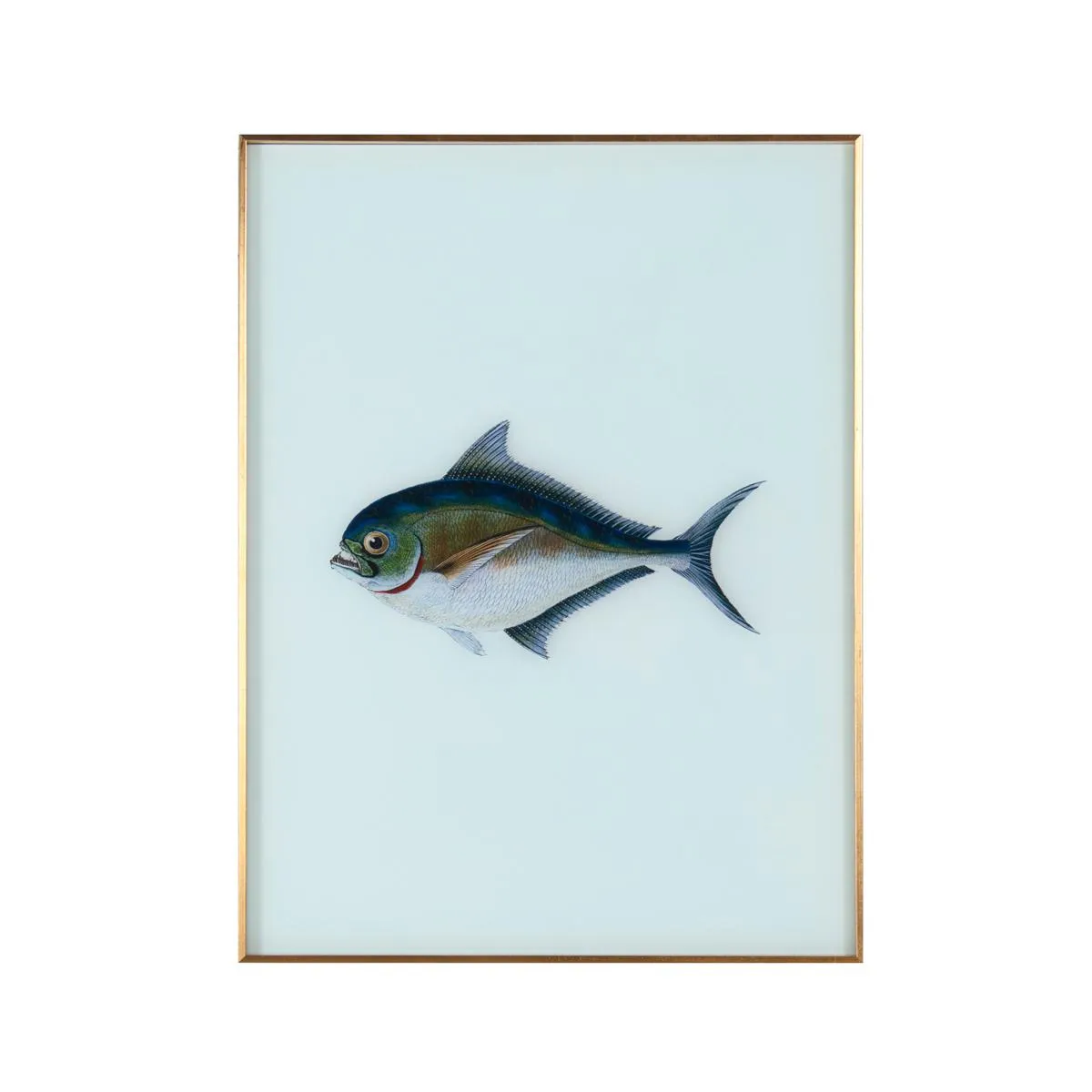 Framed Fish Print in Sea Spray