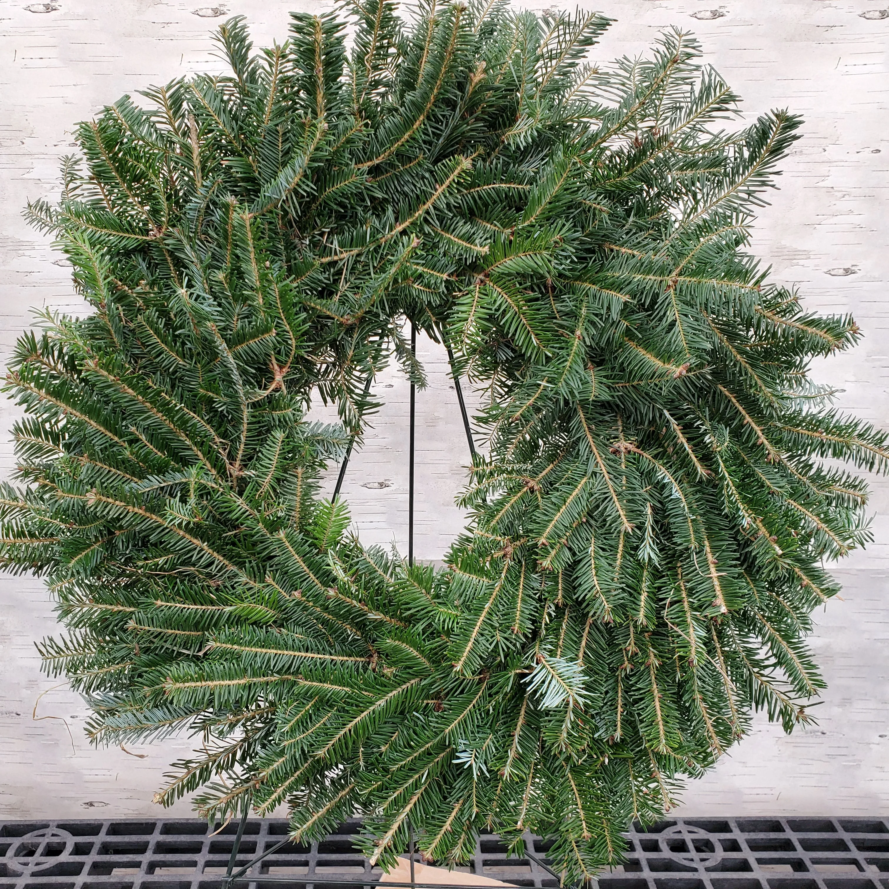 wreath 22" fresh fraser